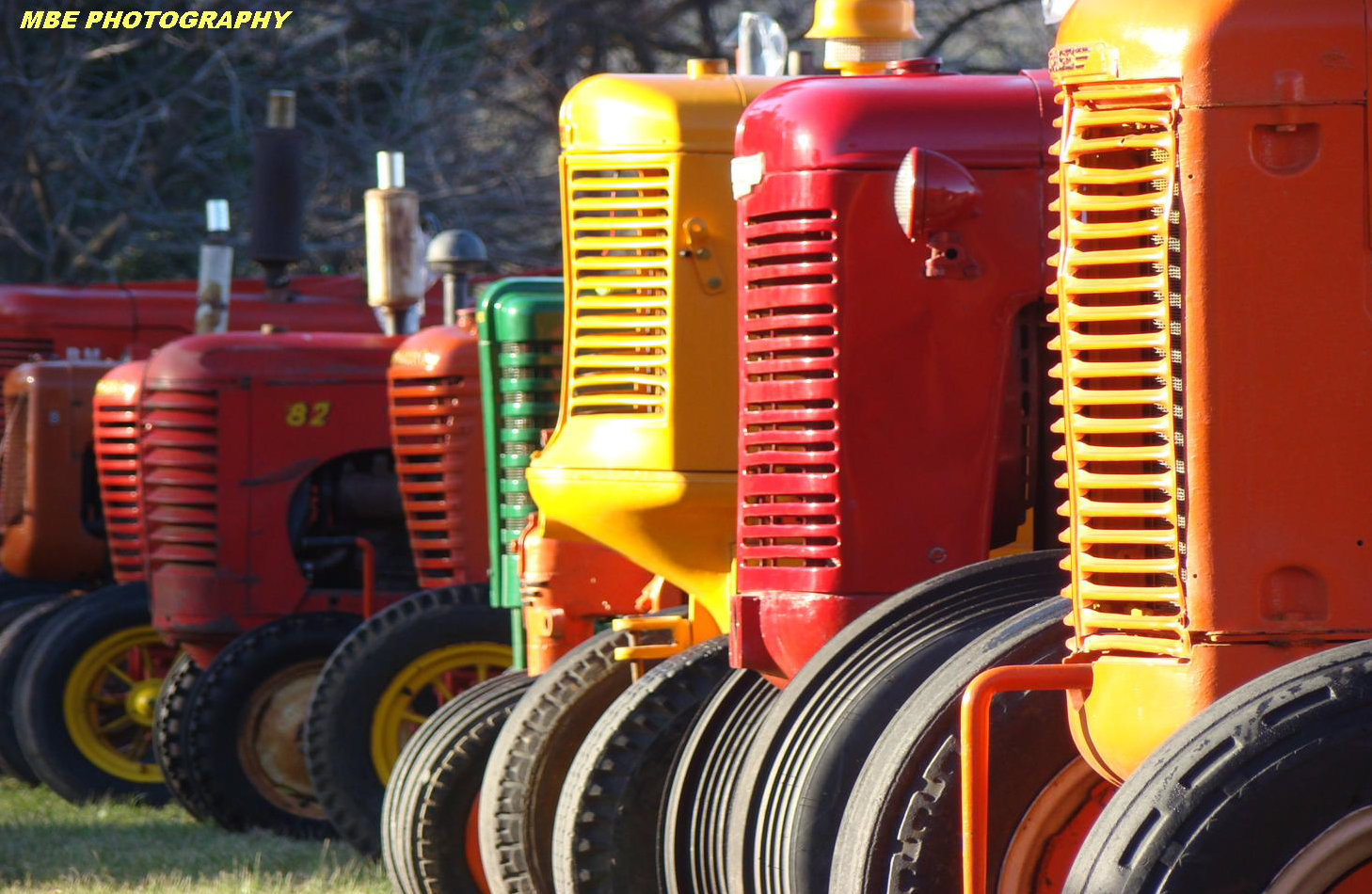 Villiersdorp-Mel-Elliott-Red and yellow